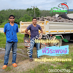 พี่วีรพงษ์  สวนอยู่นครศรีธรรมราช
