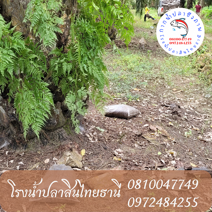 ช่วยบำรุงดิน  ปรับค่า กรด-ด่าง ในดิน
