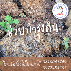ช่วยบำรุงดิน