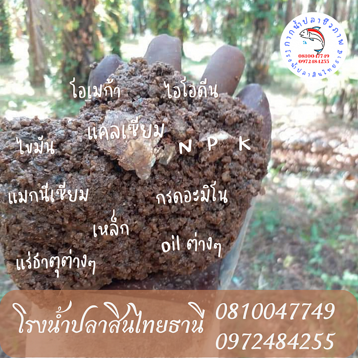 มหัศจรรย์กากน้ำปลาชีวภาพ