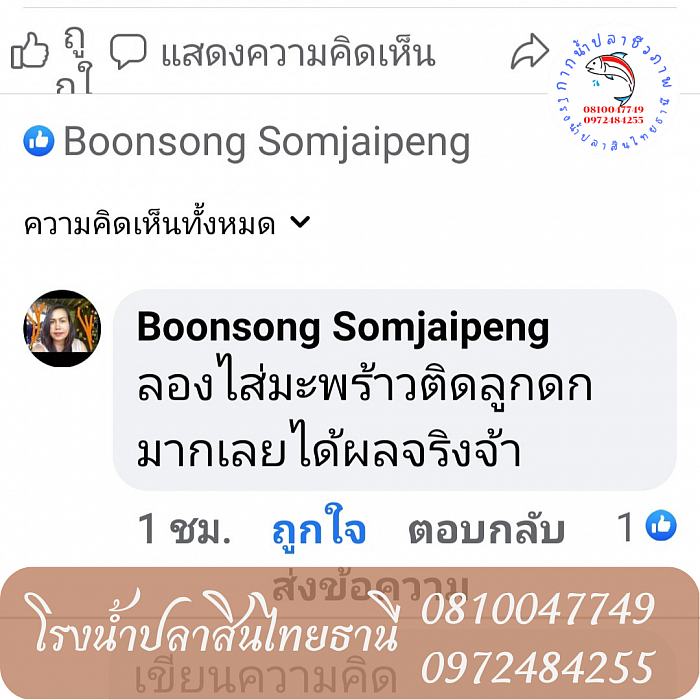 พี่อ้วน สวนมะพร้าว จ.สุราษฎร์