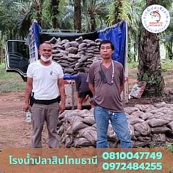 พี่อวยชัย สวนปาล์ม วิภาวดี สุราษฎร์