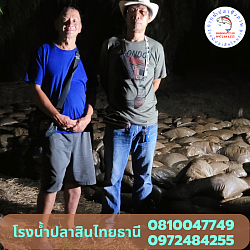 พี่สุรชัย สวนปาล์มละแม  ชุมพร