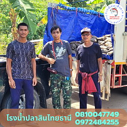 บังหวัน สวนปาล์ม เกาะลันตา จ.กระบี่