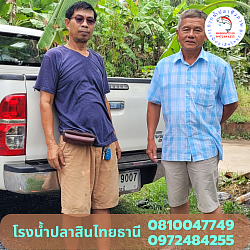 พี่ไพโรจน์  สวนปาล์ม คลองท่อม  จ.กระบี่