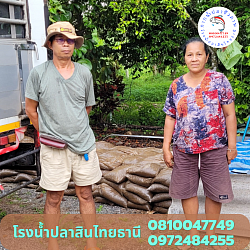 พี่น้อย สวนปาล์ ชุมพร