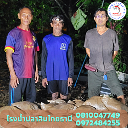 ผู้ใหญ่น้อย สวนปาล์ม  ชุมพร