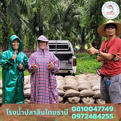พี่เล็ก สวนปาล์ม พุนพิน สุราษฎร์