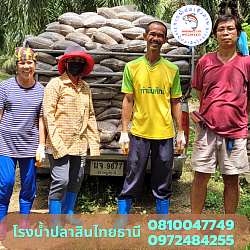 พี่เล็ก สวนปาล์ม พุนพิน สุราษฎร์