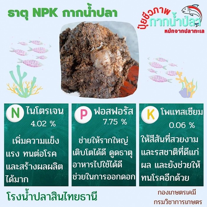ธาตุหลัก NPK
