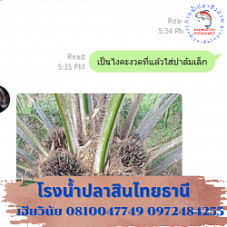 พี่สุภา